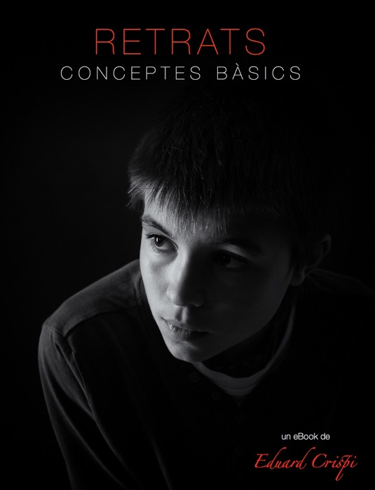 Retrat, Conceptes Bàsics