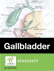 The Gallbladder
