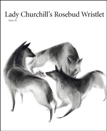 Lady Churchill's Rosebud Wristlet No. 28 - Kelly Link & Gavin J. Grant