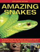 Amazing Snakes - Barbara Taylor