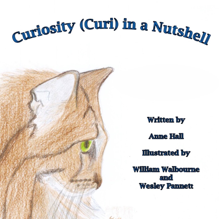 Curiosity (Curi) in a Nutshell