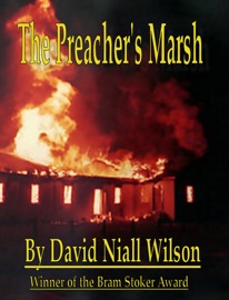 The Preacher's Marsh - David Niall Wilson