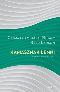 Kamasznak lenni by Mihaly Csikszentmihalyi