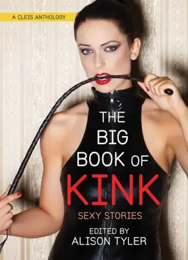 Read: Big Book of Kink Book