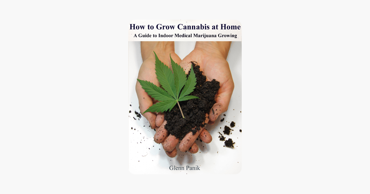  how to grow cannabis at home a guide to indoor medical marijuana