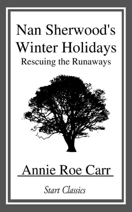 Read: Nan Sherwood's Winter Holidays Book