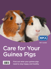 Care for Your Guinea Pigs - RSPCA Cover Art