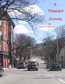 A Pleasant Journey - Mario V. Farina