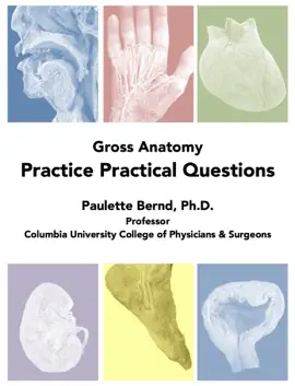Gross Anatomy Practice Practical Questions