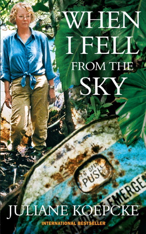 When I Fell From the Sky