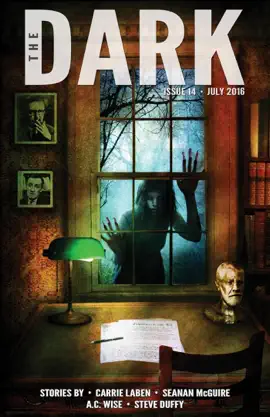Read: Book The Dark Issue 14