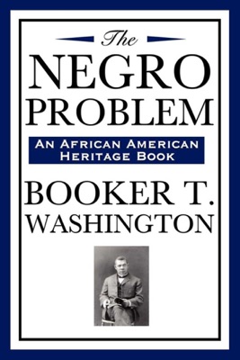 The Negro Problem