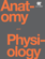 Anatomy and Physiology Anatomy and Physiology