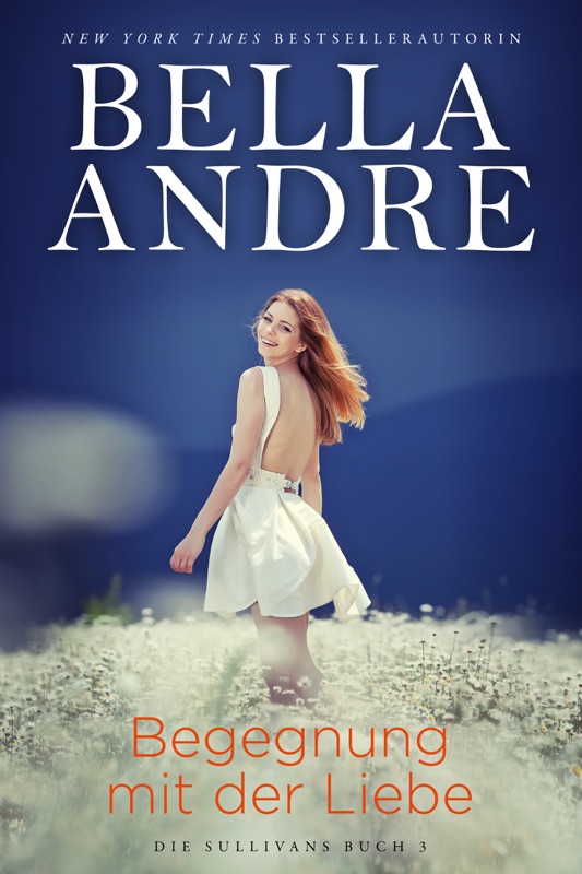 Begegnung mit der Liebe (Die Sullivans 3)