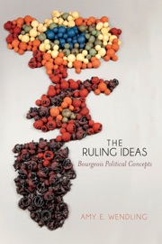 The Ruling Ideas - Amy E. Wendling