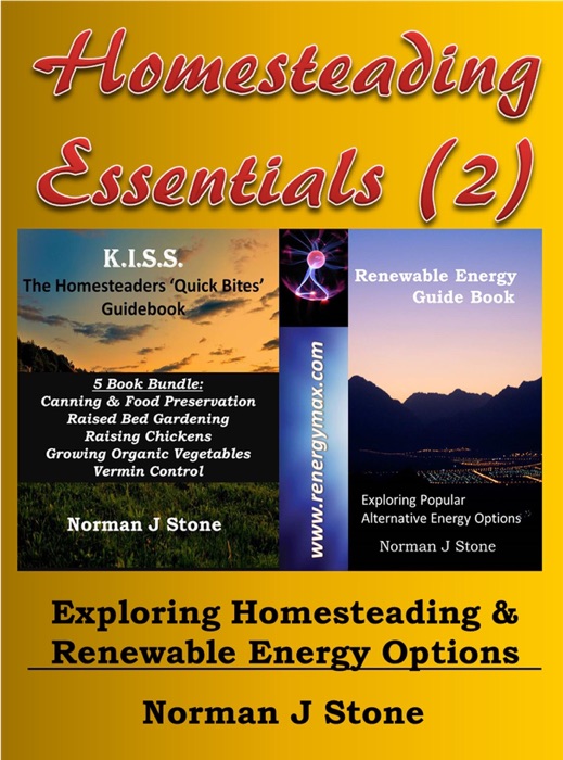 Homesteading Essential (2): Exploring Homesteading And Renewable Energy Options