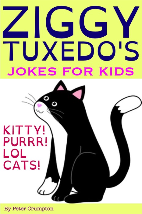 Kitty Jokes For Kids