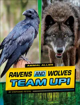 Ravens and Wolves Team Up!