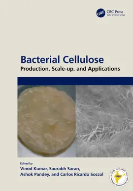 Read: Bacterial Book Cellulose
