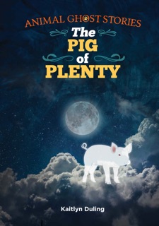 The Pig of Plenty by Kaitlyn Duling