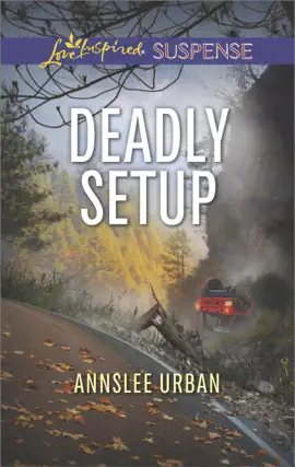 Read: Deadly Setup Book