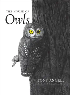 The House of Owls