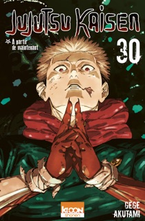 Jujutsu Kaisen T30 by Gege Akutami