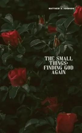 Read: The Small Things: Finding God Book Again