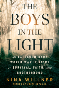 The Boys in the Light - Nina Willner Cover Art