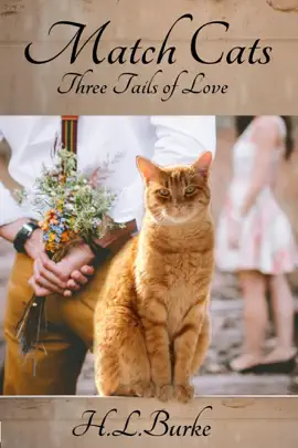 Read: Book Match Cats: Three Tails of Love