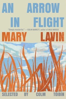 An Arrow in Flight by Mary Lavin & Colm Tóibín