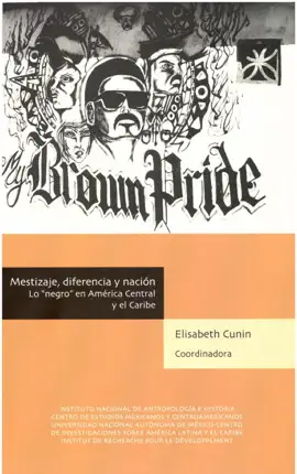 Read: Mestizaje, diferencia y nación Book