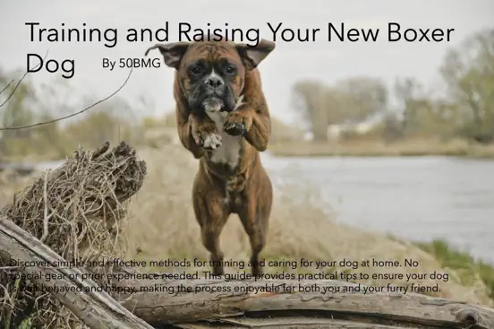 Training and Raising Your New Boxer Dog