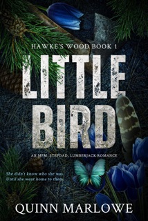 Little Bird: A Stepdad, Lumberjack, MFM Romance by Quinn Marlowe