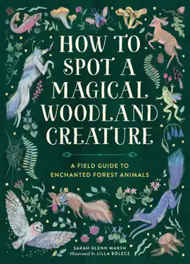 Read: How to Spot a Book Magical Woodland Creature
