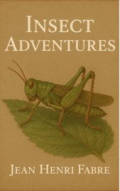 Insect Adventures