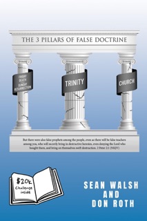 THE 3 PILLARS OF FALSE DOCTRINE by Sean Walsh & Don Roth