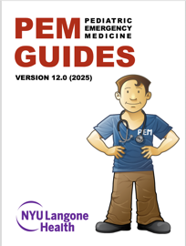 PEM Guide 12.0 (2025)