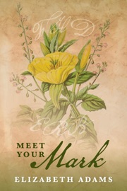 Meet Your Mark - Elizabeth Adams