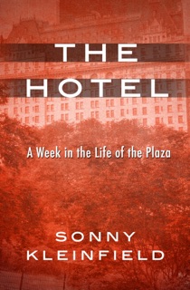 The Hotel by Sonny Kleinfield
