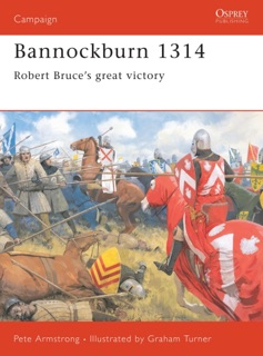 Bannockburn 1314 by Peter Armstrong