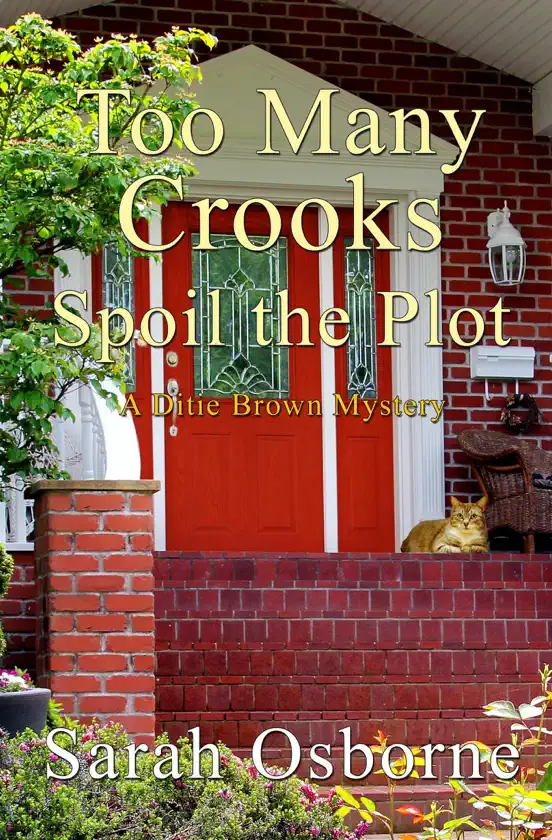 Too Many Crooks Spoil the Plot