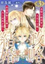 政略結婚3 〜金髪の姫将軍は王太子を戴く祖国凱旋で元帥の夫と未来を誓う〜【描き下ろしおまけマンガ付き】