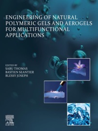 Engineering of Natural Polymeric Gels and Aerogels for Multifunctional Applications - Sabu Thomas, Bastien Seantier & Blessy Joseph