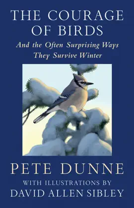 The Courage of Birds