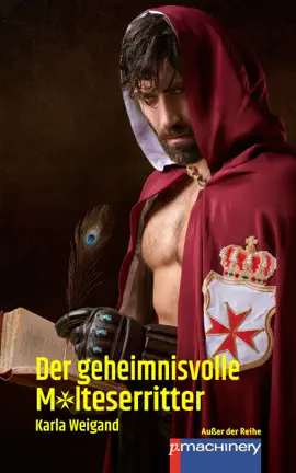 Read: DER GEHEIMNISVOLLE MALTESERRITTER Book