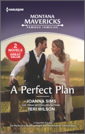 A Perfect Plan - Joanna Sims & Teri Wilson