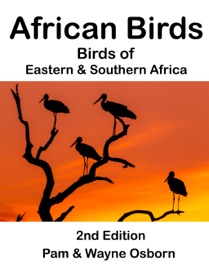 African Birds II - Wayne Osborn