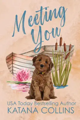 Read: Book Meeting You