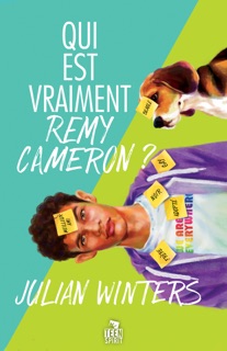 Qui est vraiment Remy Cameron ? by Julian Winters
